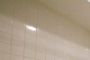 7916 S Drexel Blvd Apartments Chicago Bathroom